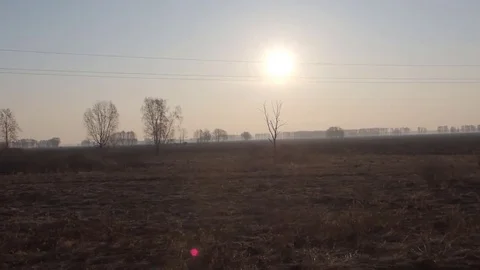 Landscape from the train window at dawn Stock Footage 74862000