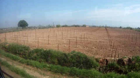 Landscape from a train window Stock Footage 155210954