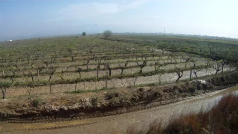 Landscape from a train window Stock Footage 155211029