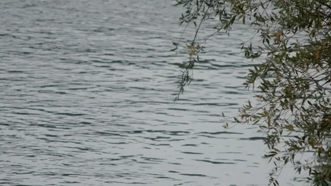 Landscape of tranquility, crystal clear water has small waves on its surface Stock Footage 124167734