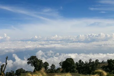 Landscape with tree and clouds 스톡 사진
