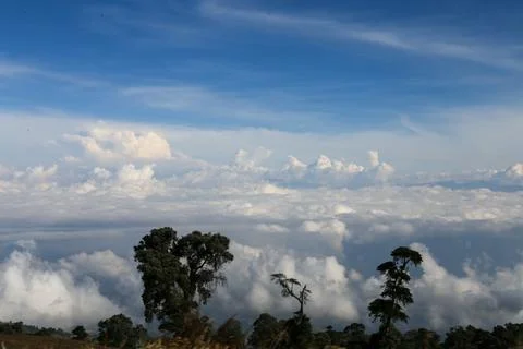 Landscape with tree and clouds Stock Photos