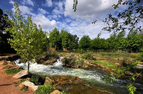 Landscape with tree and river Stock Photos