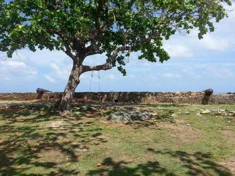 Landscape of a tree and two cannons and child swing Fotos de archivo