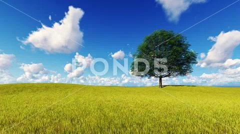 Landscape tree field grass 3D render Stock Illustration