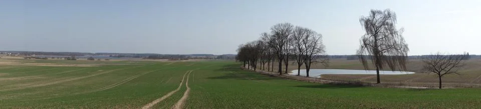 Landscape with a tree-lined road south of Olsztyn, Poland. Panoramic shot. Stock Photos
