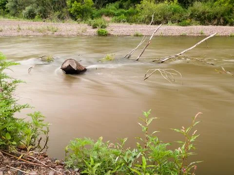 Landscape with tree log in fast river, murky rapid current in creek Stock-Fotos