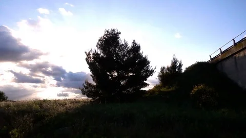 Landscape Tree On Meadow Sky And Clouds in summer - slow motion 動画素材 77340460