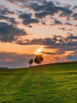 Landscape of a tree on meadows under dramatic sunset sky for wallpaper, vertical Stock Photos
