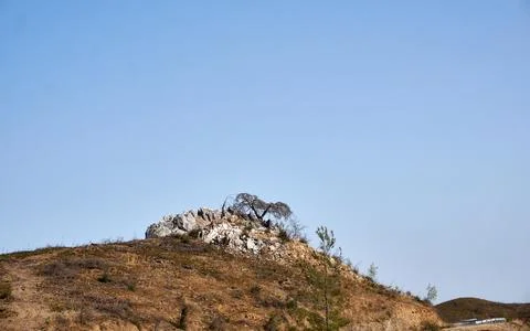 Landscape with tree over rocks Foto stock