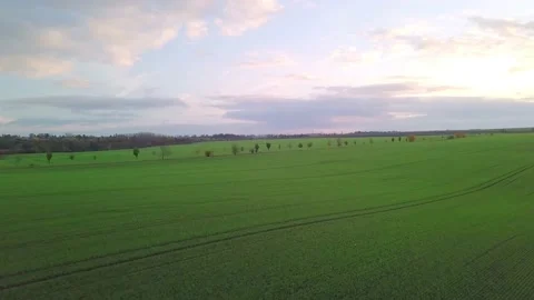 Landscape with tree path people walking in the distance during Golden Hour Stock Footage 229200749
