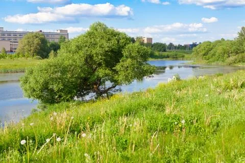 Landscape with tree Stock Photos