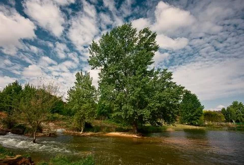 Landscape with tree Stock Photos