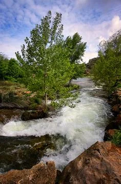 Landscape with tree Stock Photos