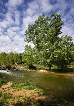 Landscape with tree Stock Photos