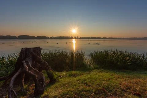 Landscape with a tree trunk resting on the bank of a river Stock Photos