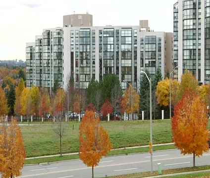 Landscape with trees and buildings. Stock Footage 55299715