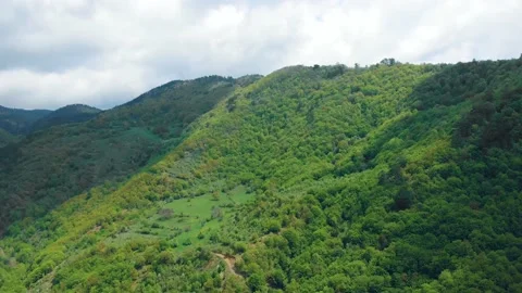 Landscape with trees and clouds Vídeos de archivo 193782381