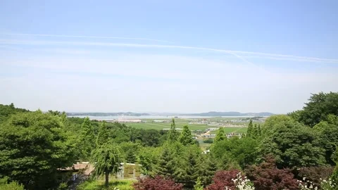 Landscape with trees and clouds Video stock 310156584