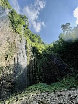 Landscape with trees and clouds Stock Photos