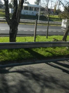 Landscape with trees and different elements Fotos Stock