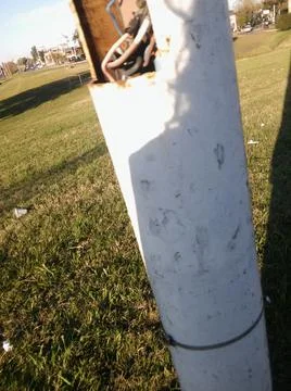 Landscape with trees and different elements Fotos Stock