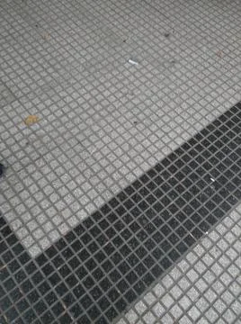 Landscape with trees and different elements Fotos Stock