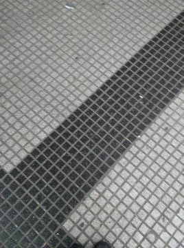 Landscape with trees and different elements Fotos Stock