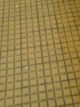 Landscape with trees and different elements Stock Photos