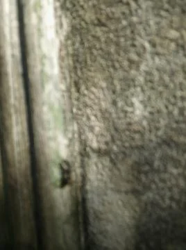 Landscape with trees and different elements 写真素材