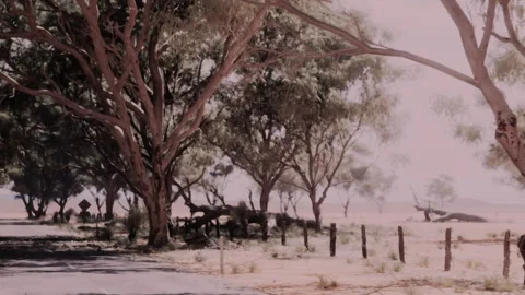 Landscape of Trees and Distant Hills Under a Warm Sun in the Outback Video stock 347256449