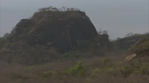 Landscape of trees and mountain. Stock Footage 23778602