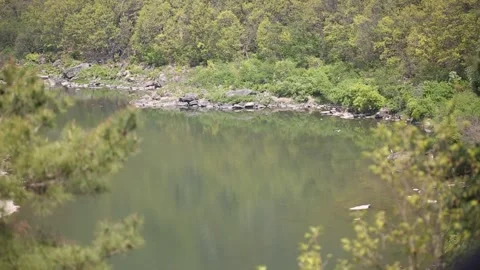 Landscape of trees and rivers Video stock 310919553