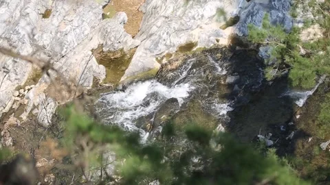 Landscape of trees and rivers Video stock 310919556