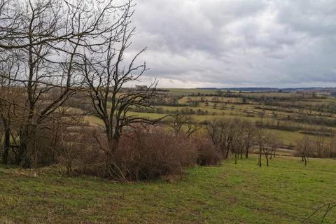 Landscape with trees on a cloudy day Foto stock