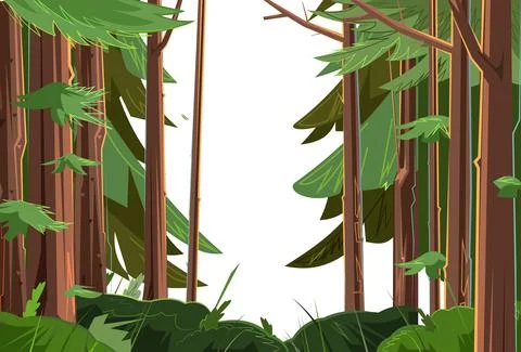 Landscape with trees. Coniferous plants.. Thick shrubs among the trunks. Illu Stock Illustration