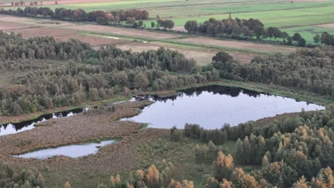 Landscape with trees Stock Footage 249016546