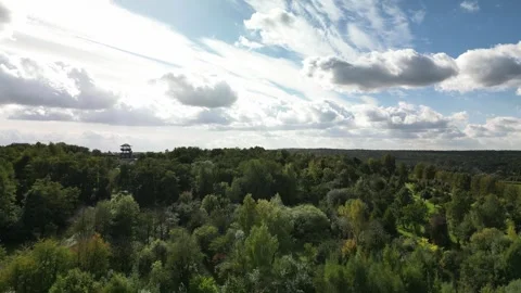 Landscape with trees Stock Footage 255955480