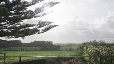 Landscape with trees Stock Footage 306940565