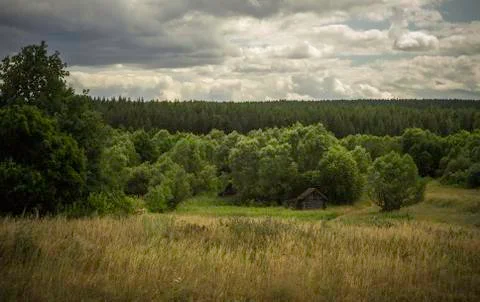Landscape trees meadows Stock Photos
