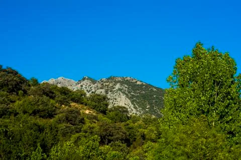 Landscape of trees with mountain in the background and blue sky Stock Photos