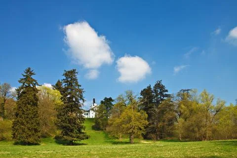 Landscape with trees Stock Photos
