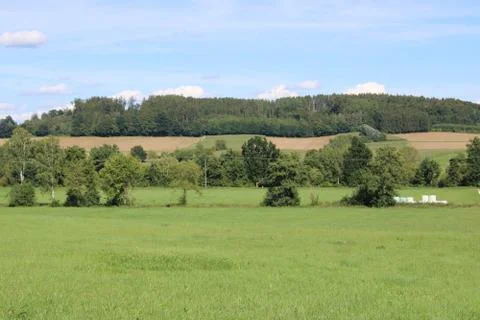 Landscape with trees Stock Photos