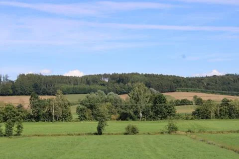 Landscape with trees Stock Photos