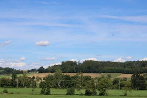 Landscape with trees Stock Photos