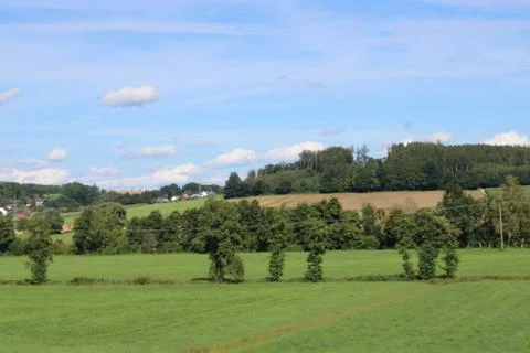 Landscape with trees Foto stock