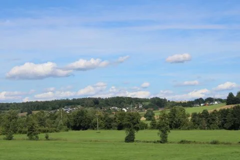 Landscape with trees Stock Photos