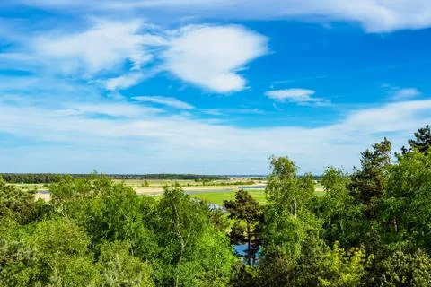 Landscape with trees in Prerow, Germany Stock Photos