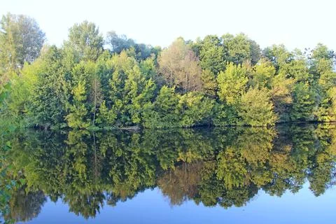 Landscape with trees reflected on water surface of river Stock Photos