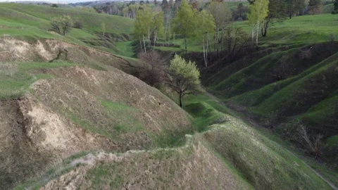 Landscape with trees. Shooting with a quadcopter. Stock Footage 194691927